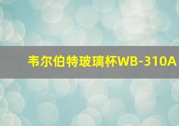 韦尔伯特玻璃杯WB-310A