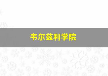 韦尔兹利学院