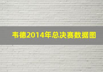 韦德2014年总决赛数据图