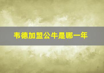 韦德加盟公牛是哪一年