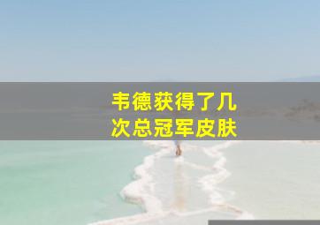 韦德获得了几次总冠军皮肤