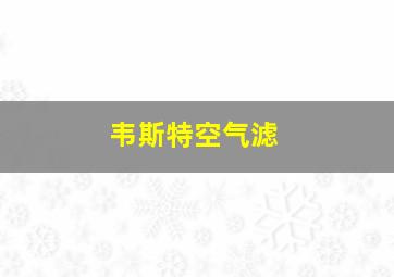 韦斯特空气滤