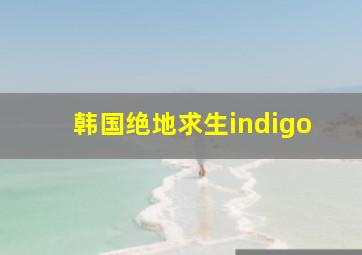 韩国绝地求生indigo