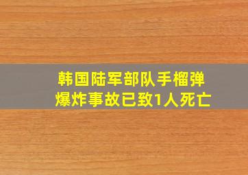 韩国陆军部队手榴弹爆炸事故已致1人死亡