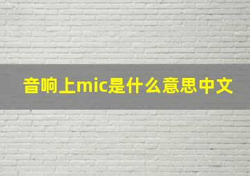 音响上mic是什么意思中文