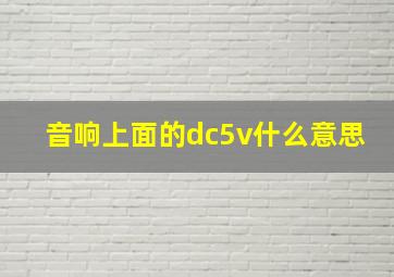 音响上面的dc5v什么意思