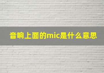 音响上面的mic是什么意思