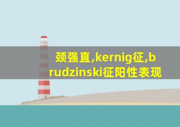 颈强直,kernig征,brudzinski征阳性表现