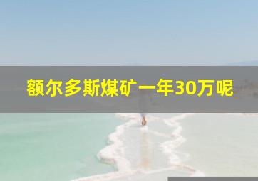 额尔多斯煤矿一年30万呢