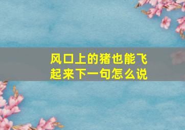 风口上的猪也能飞起来下一句怎么说