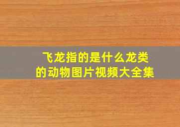 飞龙指的是什么龙类的动物图片视频大全集