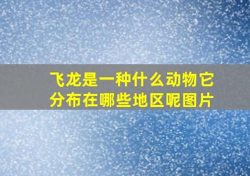 飞龙是一种什么动物它分布在哪些地区呢图片