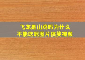 飞龙是山鸡吗为什么不能吃呢图片搞笑视频