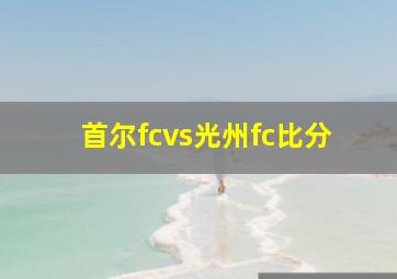 首尔fcvs光州fc比分