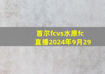 首尔fcvs水原fc直播2024年9月29