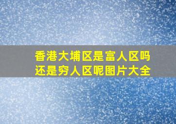 香港大埔区是富人区吗还是穷人区呢图片大全