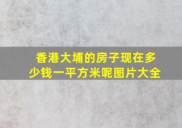 香港大埔的房子现在多少钱一平方米呢图片大全