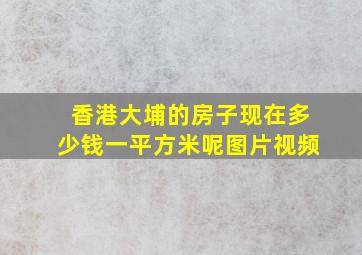 香港大埔的房子现在多少钱一平方米呢图片视频