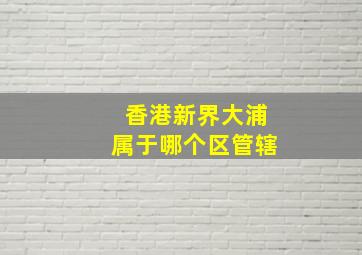 香港新界大浦属于哪个区管辖