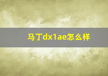 马丁dx1ae怎么样