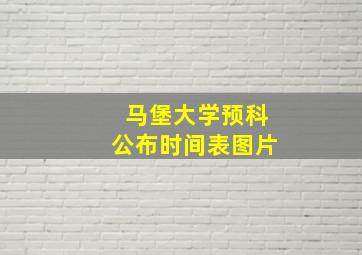 马堡大学预科公布时间表图片