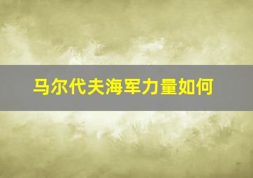 马尔代夫海军力量如何