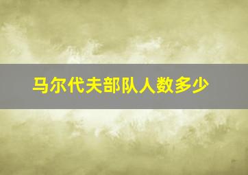 马尔代夫部队人数多少