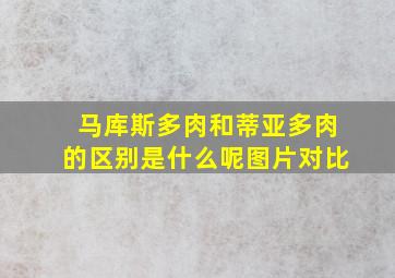 马库斯多肉和蒂亚多肉的区别是什么呢图片对比