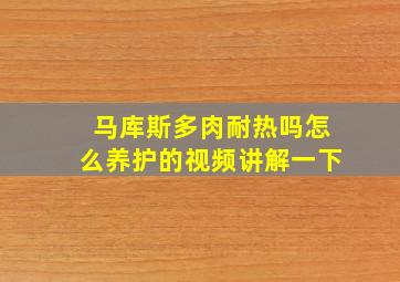 马库斯多肉耐热吗怎么养护的视频讲解一下