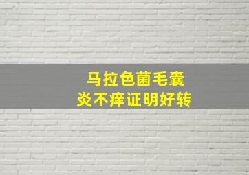 马拉色菌毛囊炎不痒证明好转