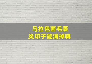 马拉色菌毛囊炎印子能消掉嘛