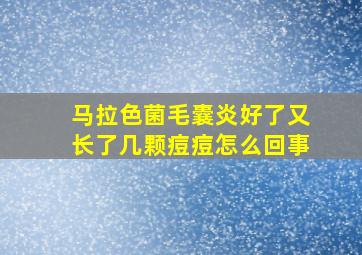 马拉色菌毛囊炎好了又长了几颗痘痘怎么回事