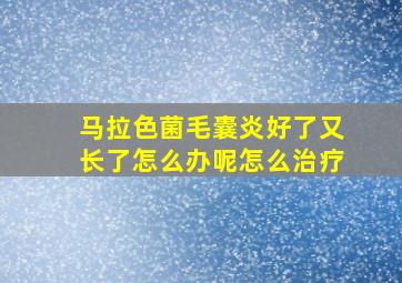 马拉色菌毛囊炎好了又长了怎么办呢怎么治疗