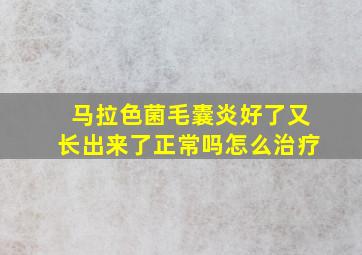 马拉色菌毛囊炎好了又长出来了正常吗怎么治疗