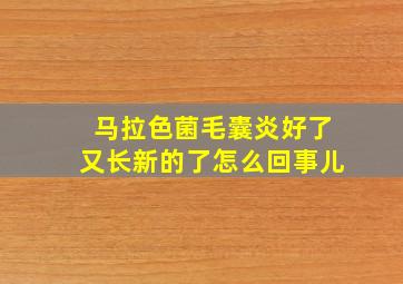 马拉色菌毛囊炎好了又长新的了怎么回事儿