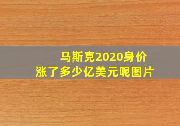 马斯克2020身价涨了多少亿美元呢图片