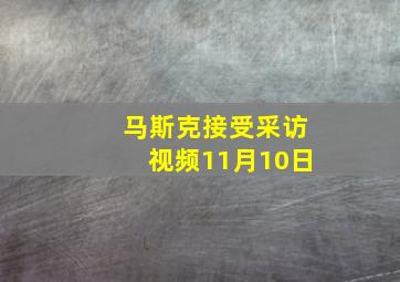 马斯克接受采访视频11月10日