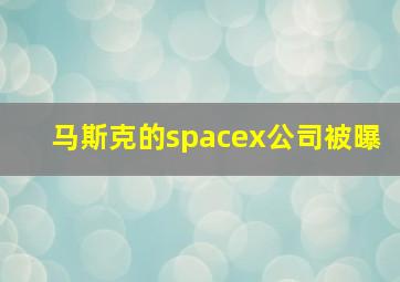 马斯克的spacex公司被曝