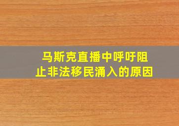 马斯克直播中呼吁阻止非法移民涌入的原因