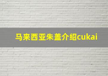 马来西亚朱盖介绍cukai