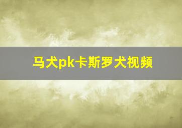 马犬pk卡斯罗犬视频