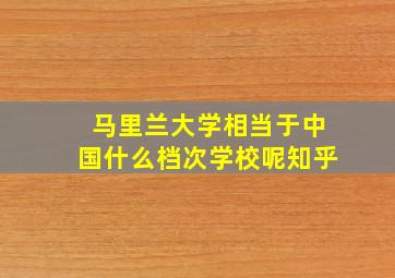 马里兰大学相当于中国什么档次学校呢知乎