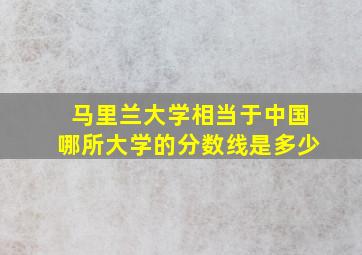 马里兰大学相当于中国哪所大学的分数线是多少