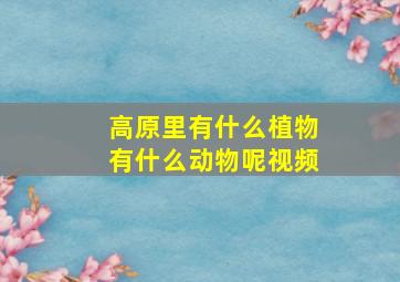 高原里有什么植物有什么动物呢视频