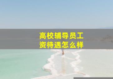 高校辅导员工资待遇怎么样