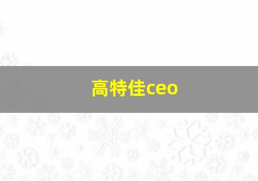 高特佳ceo