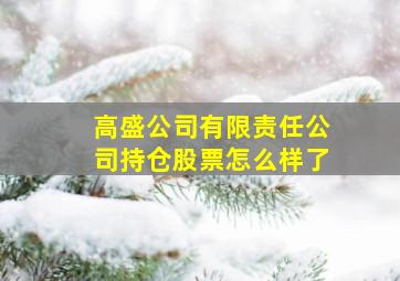 高盛公司有限责任公司持仓股票怎么样了