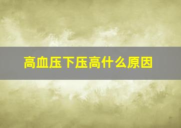 高血压下压高什么原因