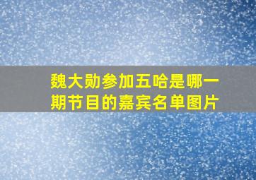 魏大勋参加五哈是哪一期节目的嘉宾名单图片