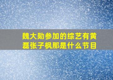 魏大勋参加的综艺有黄磊张子枫那是什么节目